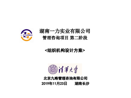 XX组织结构咨询报告