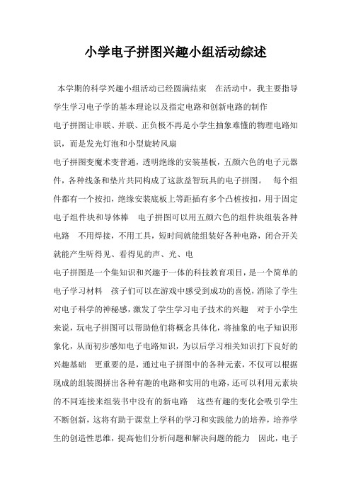 小学电子拼图兴趣小组活动综述-