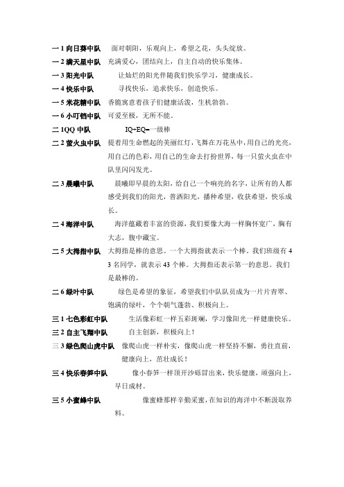 中队名称