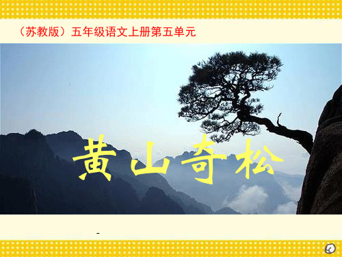 苏教版国标本五年级语文上册《黄山奇松》公开课PPT-课件