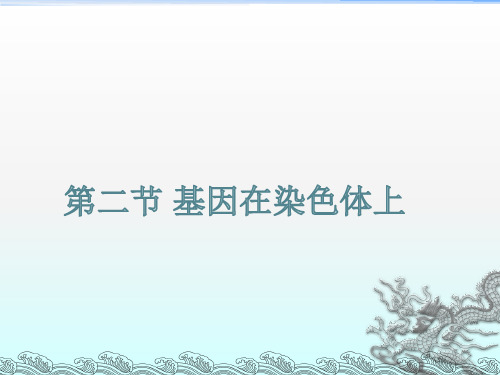 基因在染色体上人教版高中生物必修二教学课件