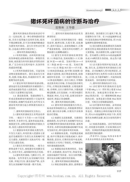 猪坏死杆菌病的诊断与治疗