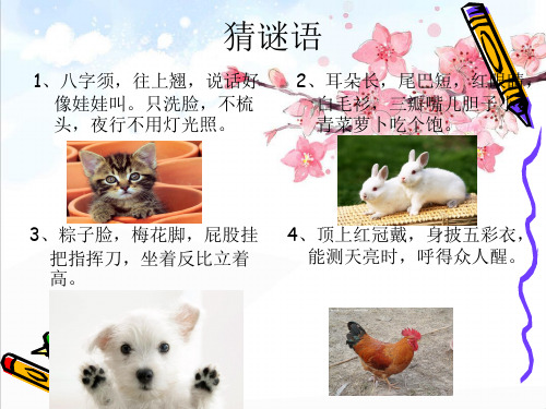 我喜欢的小动物作文ppt PPT精品PPT课件