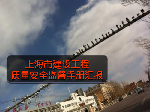 监督手册