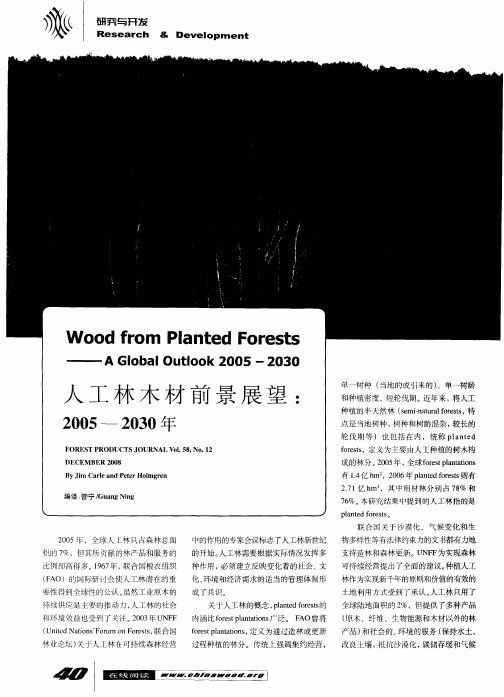 人工林木材前景展望：2005—2030年