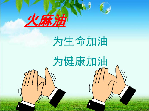 火麻油PPT课件