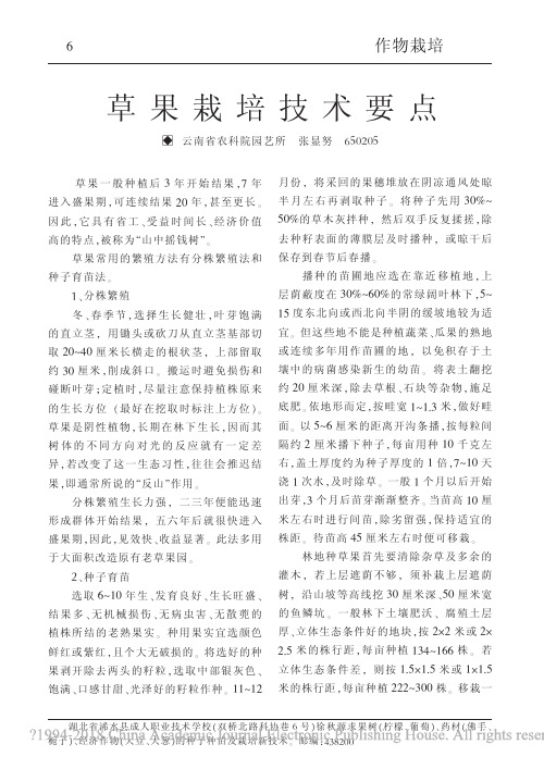 草果栽培技术要点_张显努