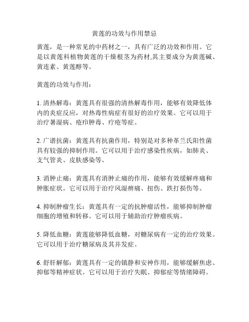 黄莲的功效与作用禁忌
