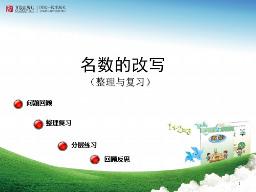 名数改写(整理复习) PPT