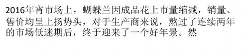 蝴蝶兰受损,谁之过