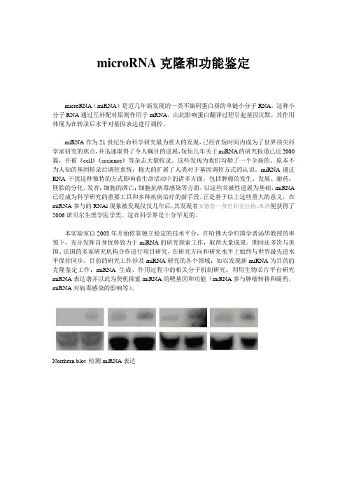 microRNA克隆和功能鉴定