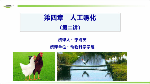 第四章 人工孵化(第二讲2020)