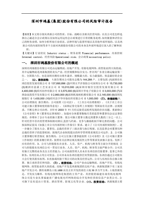 企业风险审计报告