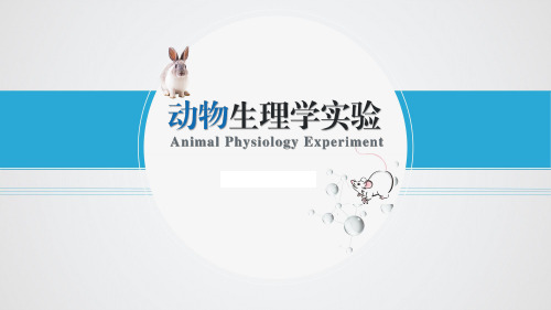 13-小鼠水迷宫实验