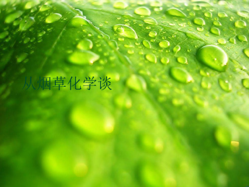 从烟草化学谈优秀PPT