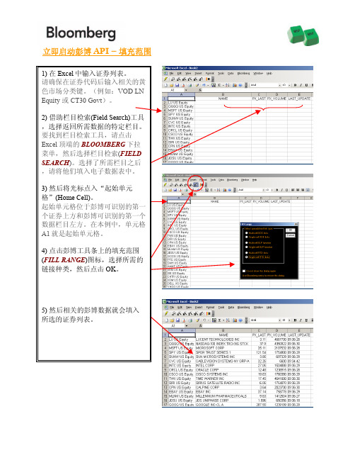 彭博excel函数说明