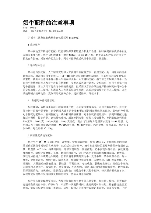 奶牛配种的注意事项