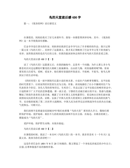 鸟的天堂读后感400字