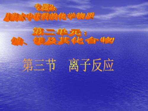 苏教版高中化学必修一2.2.3《离子反应》课件 (共11张PPT)