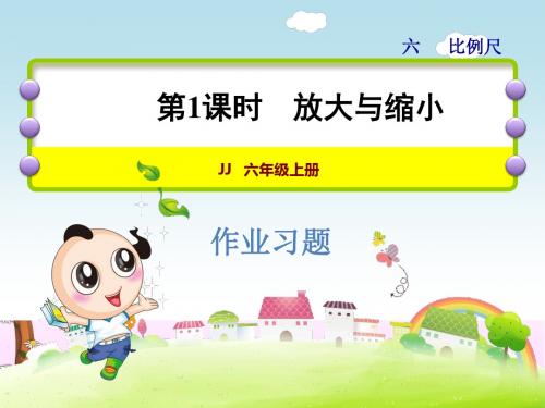 冀教版六年级上册数学第六单元第1课时放大与缩习题课件