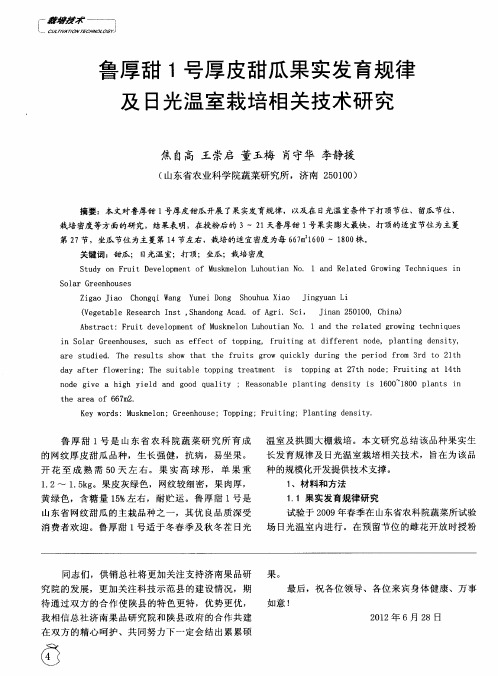 鲁厚甜1号厚皮甜瓜果实发育规律及日光温室栽培相关技术研究
