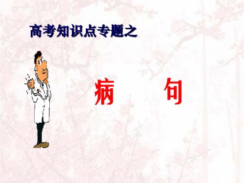 高考语文专题复习：病句总结及真题分析【科目考试辅导资料】-PPT课件