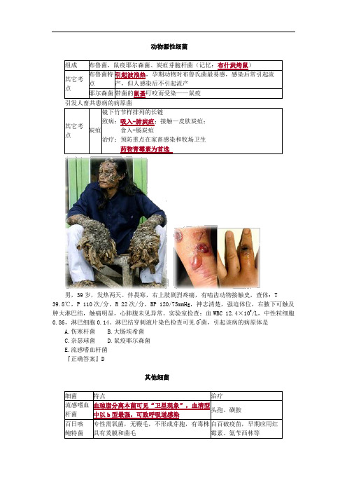 动物源性细菌及其他细菌