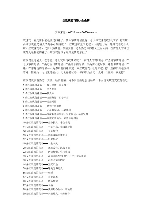 红玫瑰的花语大全全解