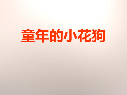 鄂教版五年级语文下册《童年的小花狗》PPT课件(2篇)