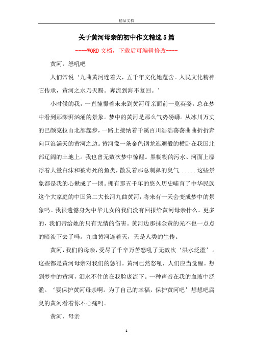关于黄河母亲的初中作文精选5篇