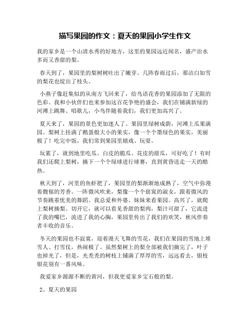 描写果园的作文：夏天的果园小学生作文