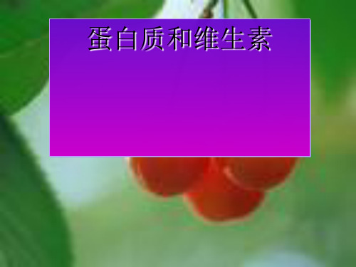 沪教版初中化学九下 8.3 蛋白质和维生素  课件 ppt
