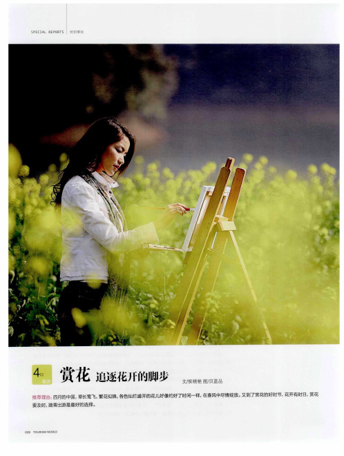 赏花  追逐花开的脚步