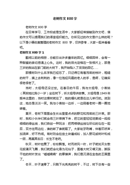 老树作文800字