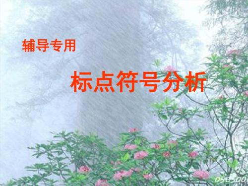 2019【中考语文】初三九年级中考复习课件：标点符号(共69张PPT)
