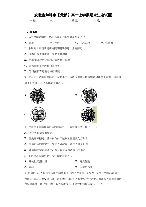 安徽省蚌埠市高一上学期期末生物试题