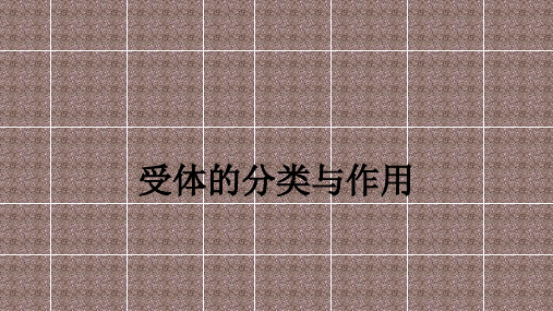 受体的分类与作用