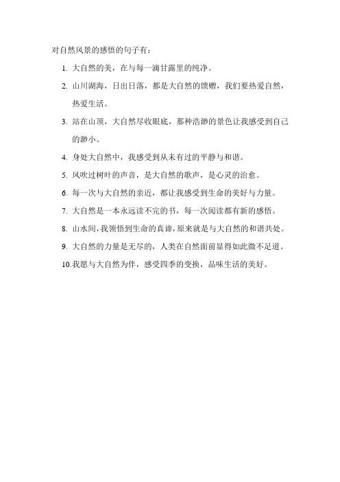 对自然风景的感悟的句子