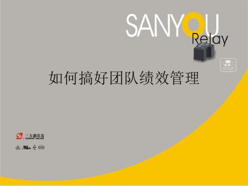 如何搞好团队绩效管理.ppt