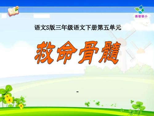 语文S版语文三下《救命骨髓》ppt-课件3