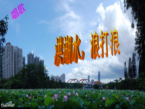 洪湖水,浪打浪 音乐课件