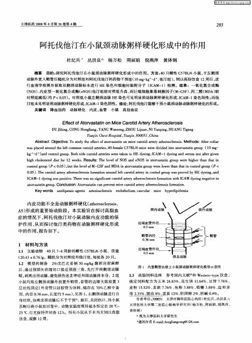 阿托伐他汀在小鼠颈动脉粥样硬化形成中的作用