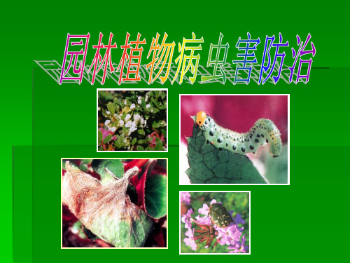 病虫害防治绪论