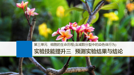 2019版大一轮高三一轮复习系列选考总复习(浙江专版)生物课件：实验技能提升三