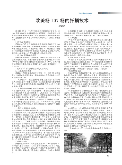 欧美杨107杨的扦插技术