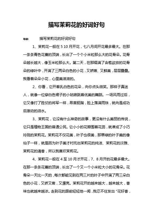 描写茉莉花的好词好句