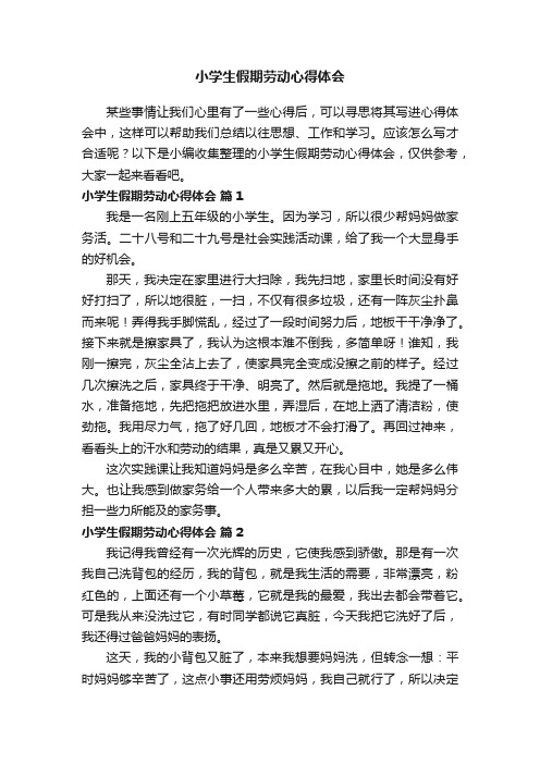 小学生假期劳动心得体会（通用15篇）