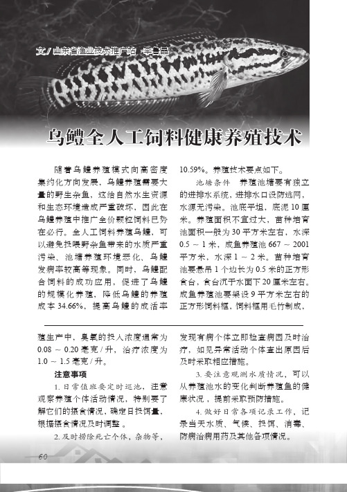 乌鳢全人工饲料健康养殖技术
