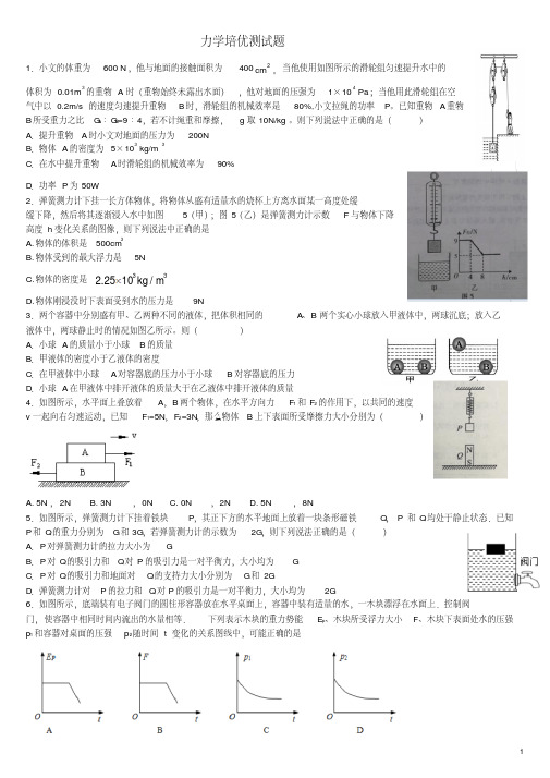 广西师大附外中考物理力学培优测试题