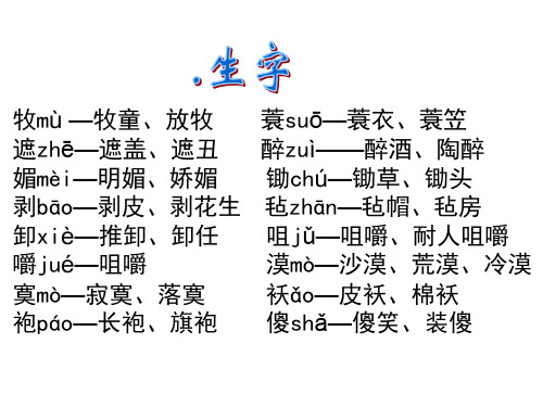 小学语文五年级下册《第二单元》知识点汇总